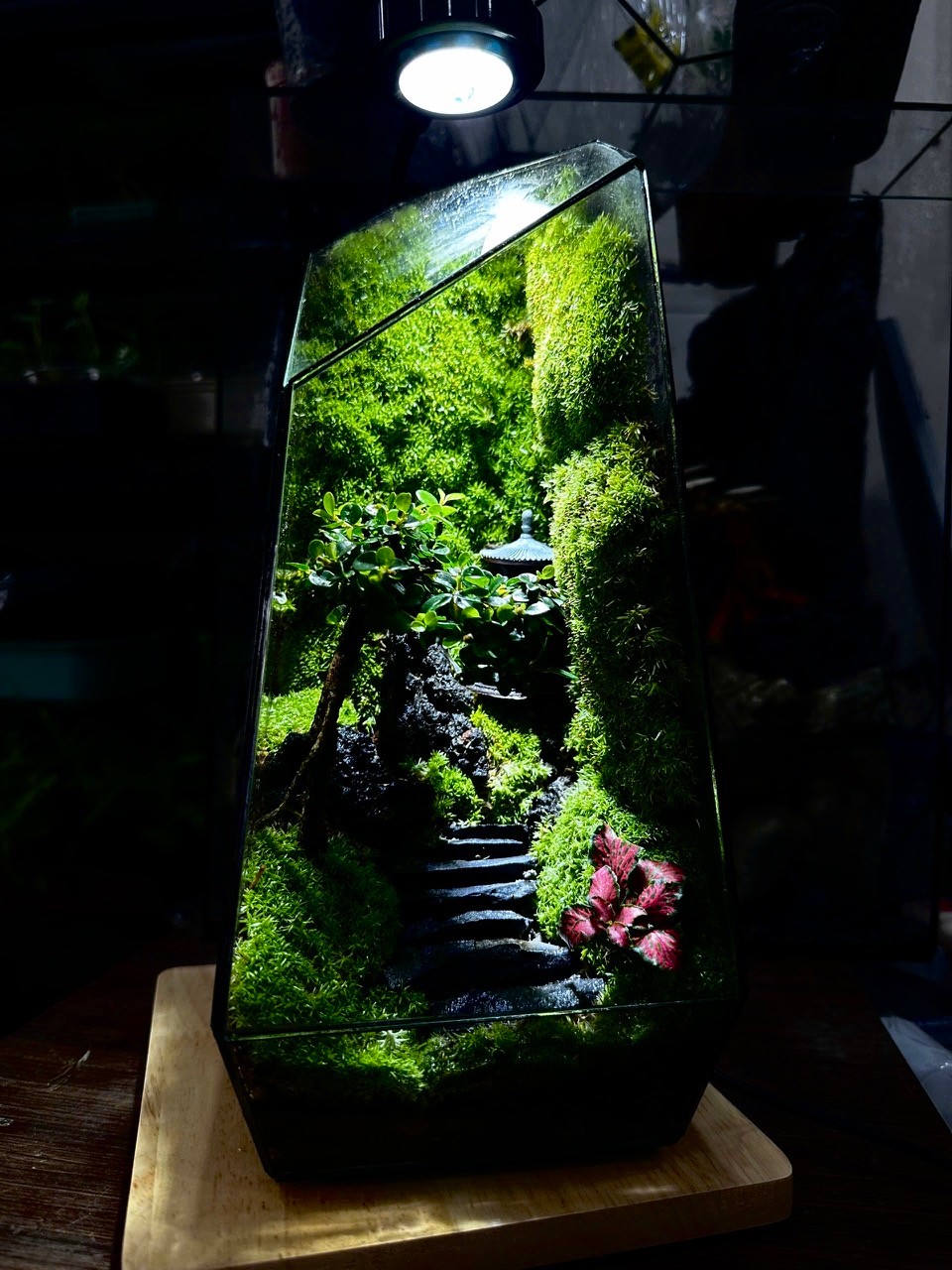 DECOR TERRARIUM
