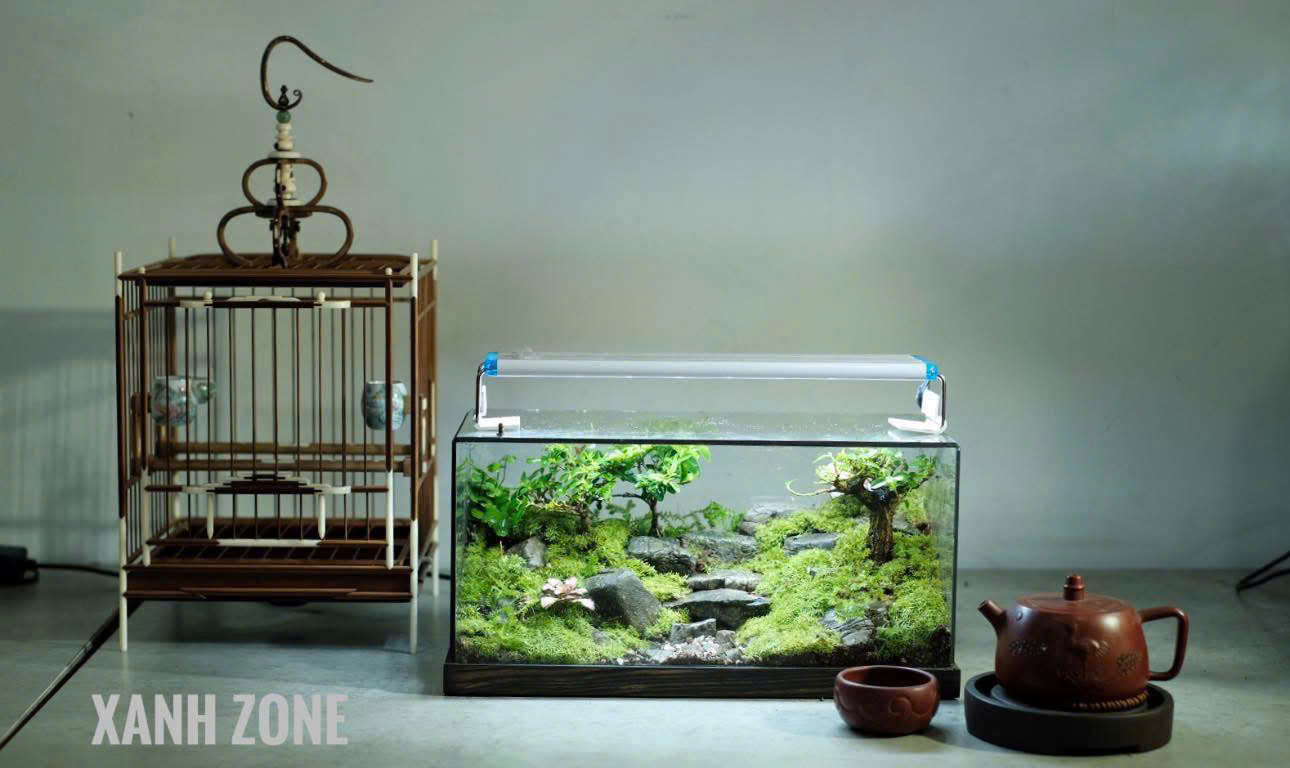 BONSAI TERRARIUM