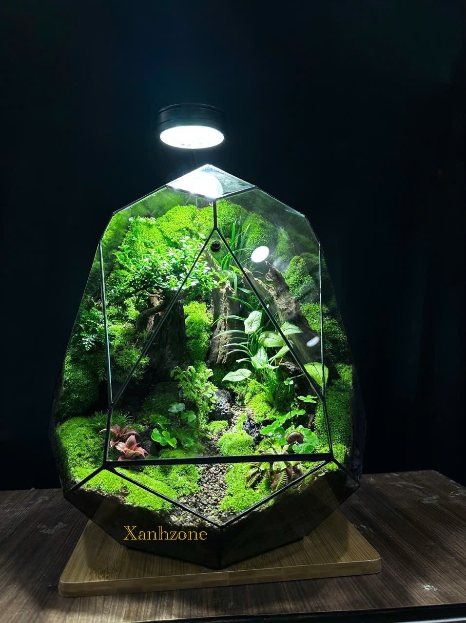 DECOR - TRỨNG XINH 33CM ( tặng kèm đèn )