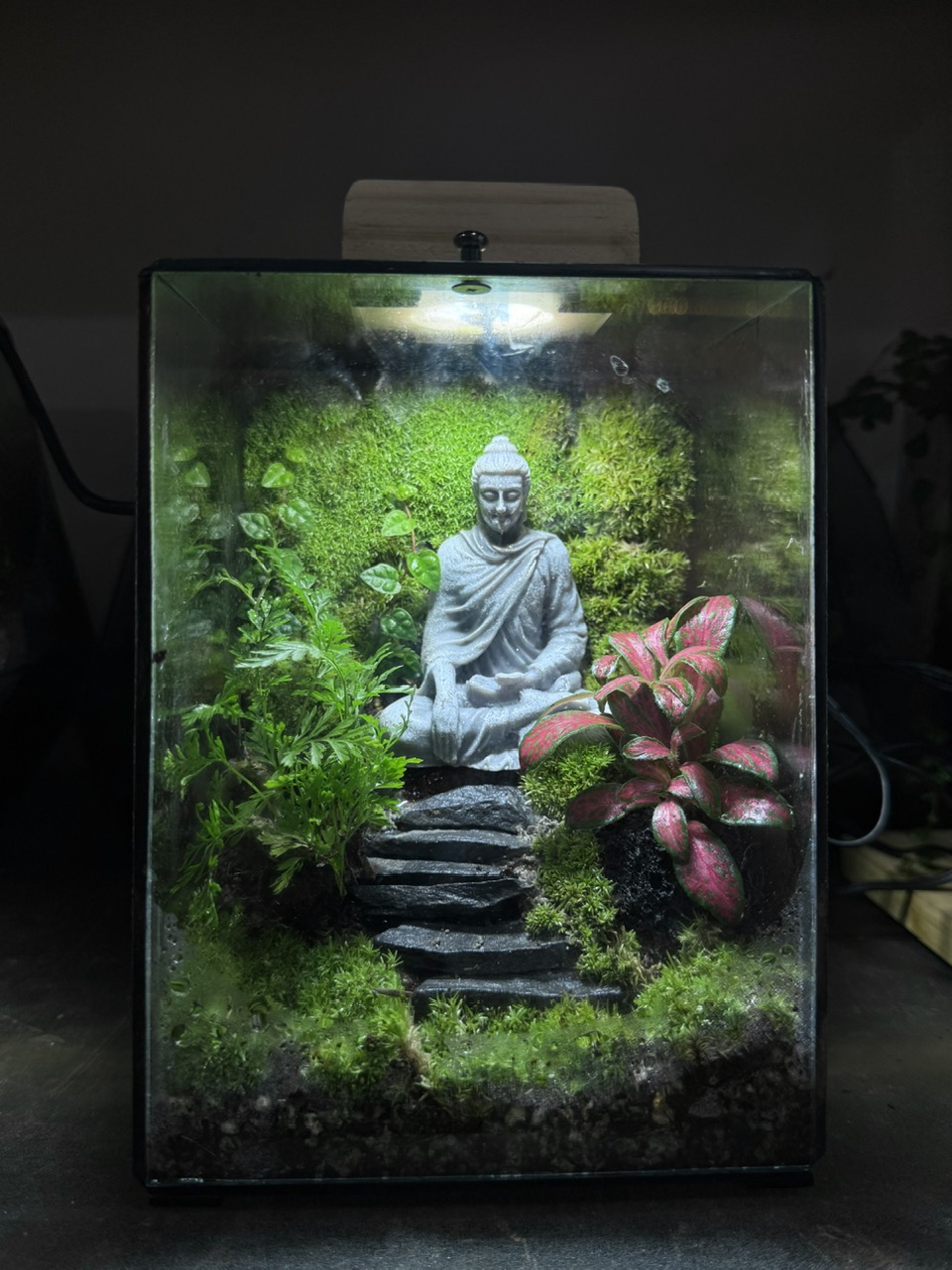 ĐÓA HOA SEN
