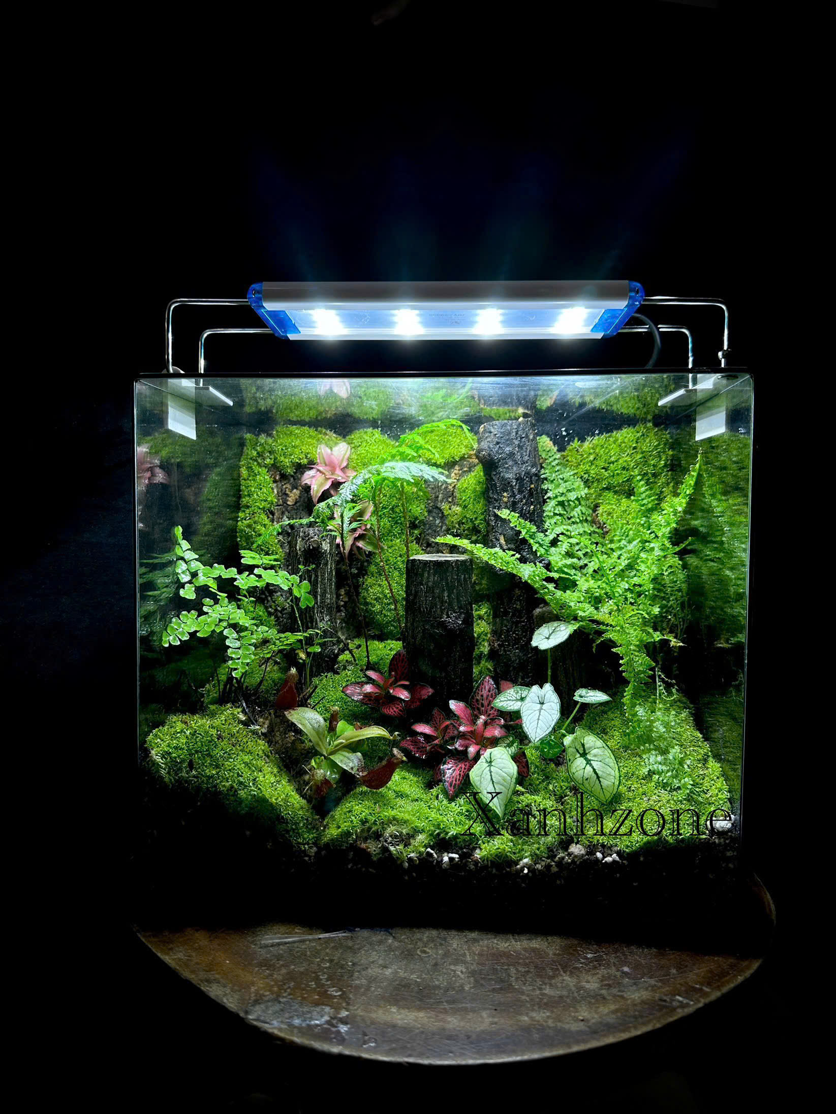 VƯỜN SẮC MÀU - 25CM