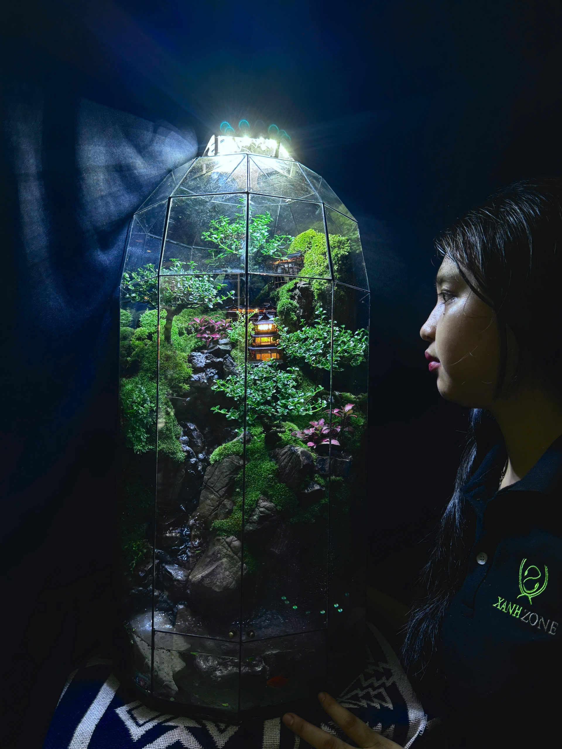 CỔ TRẤN TÁN THỤ