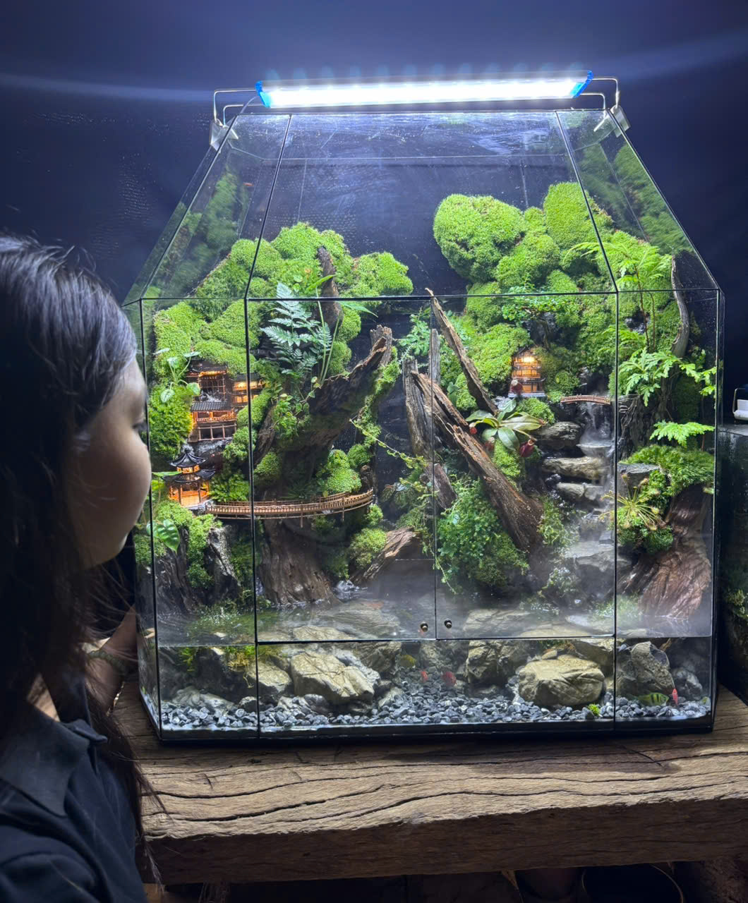 HỒ BÁN CẠN-TERRARIUM THIẾT KẾ ĐẶC BIỆT -01