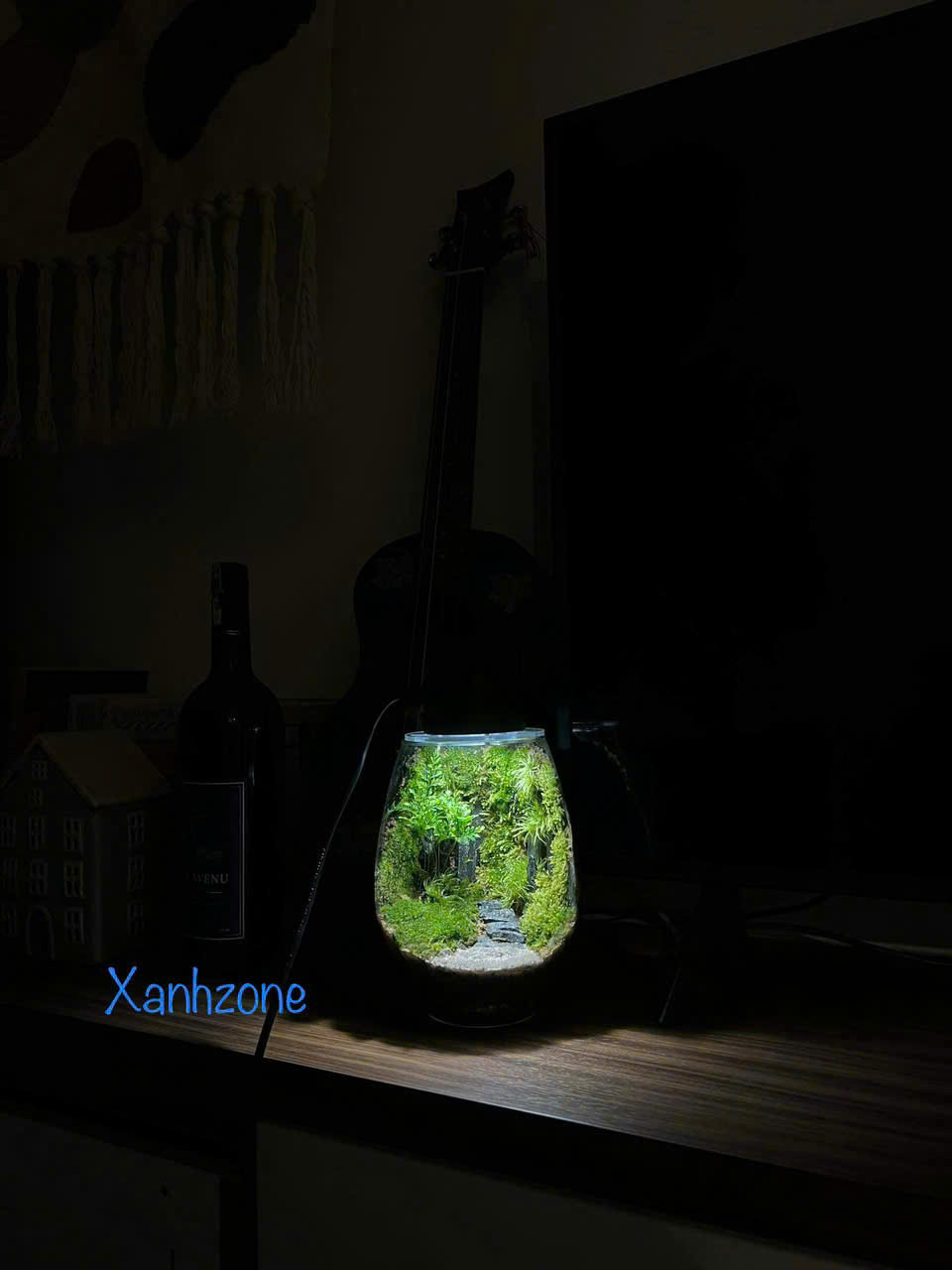 NGỌN ĐÈN XANH - MOSS LIGHT