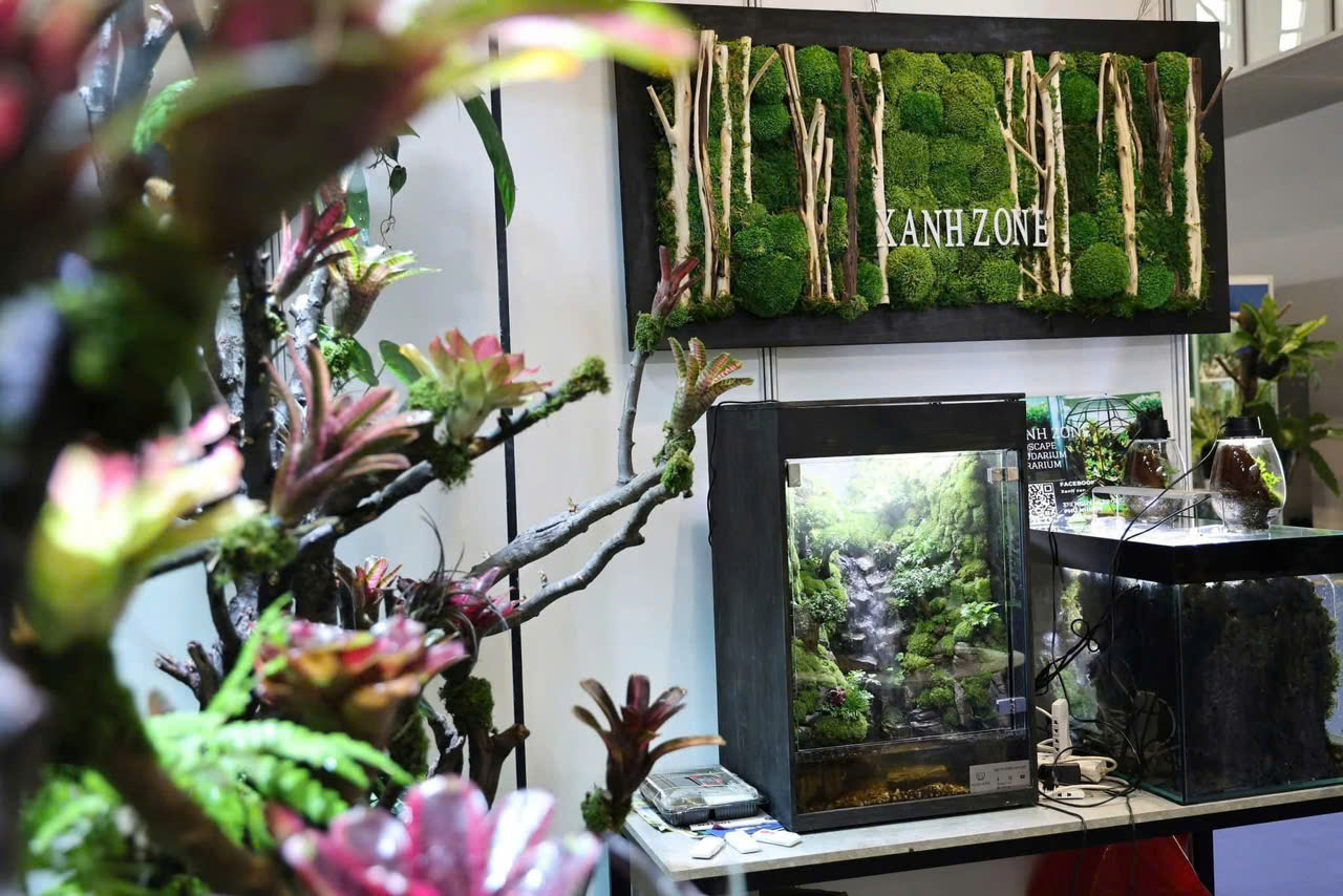 HỒ BÁN CẠN - HỒ SUỐI THÁC