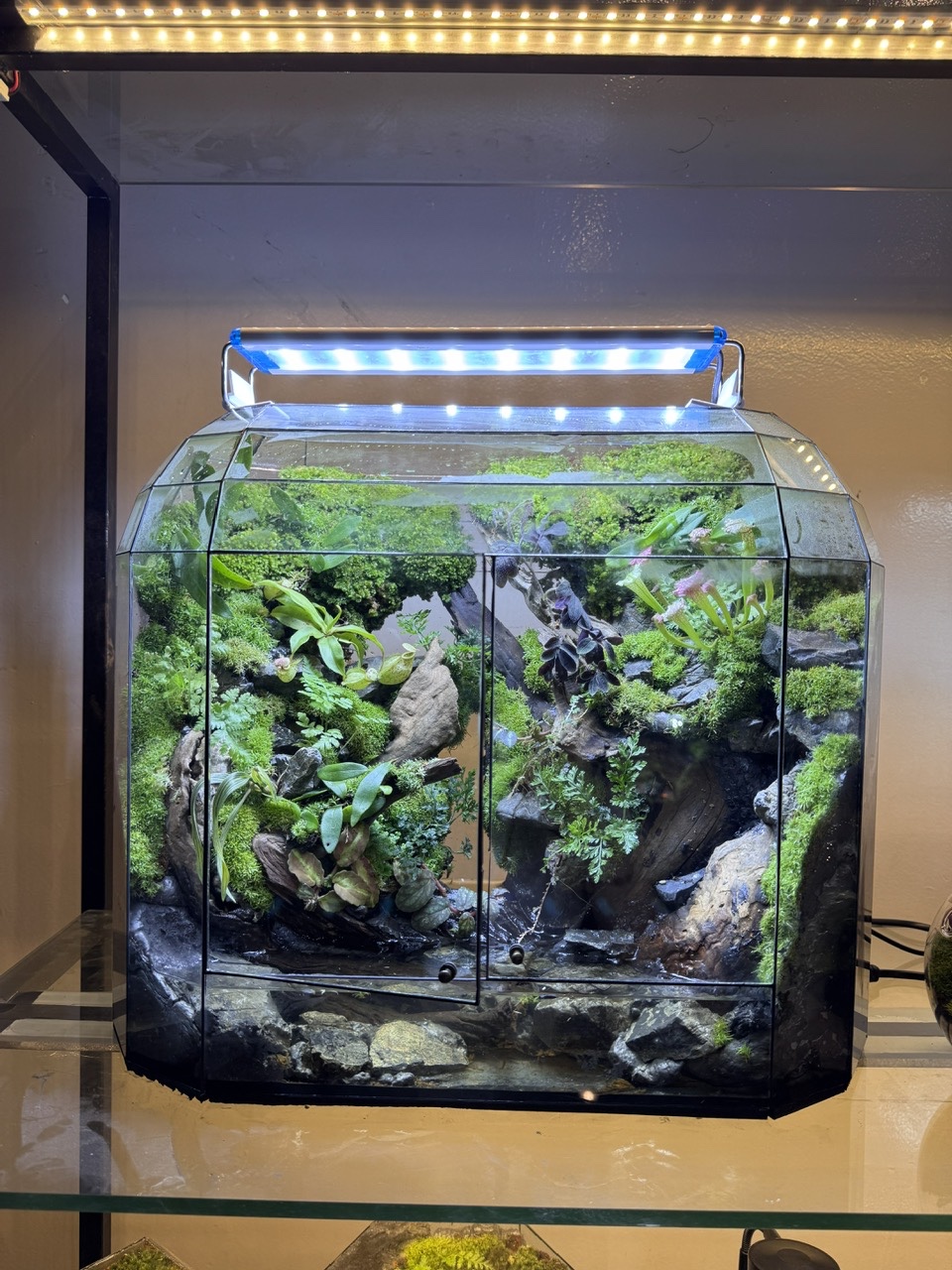 RỪNG THU NHỎ TERRARIUM - M1 ( tặng kèm đèn )