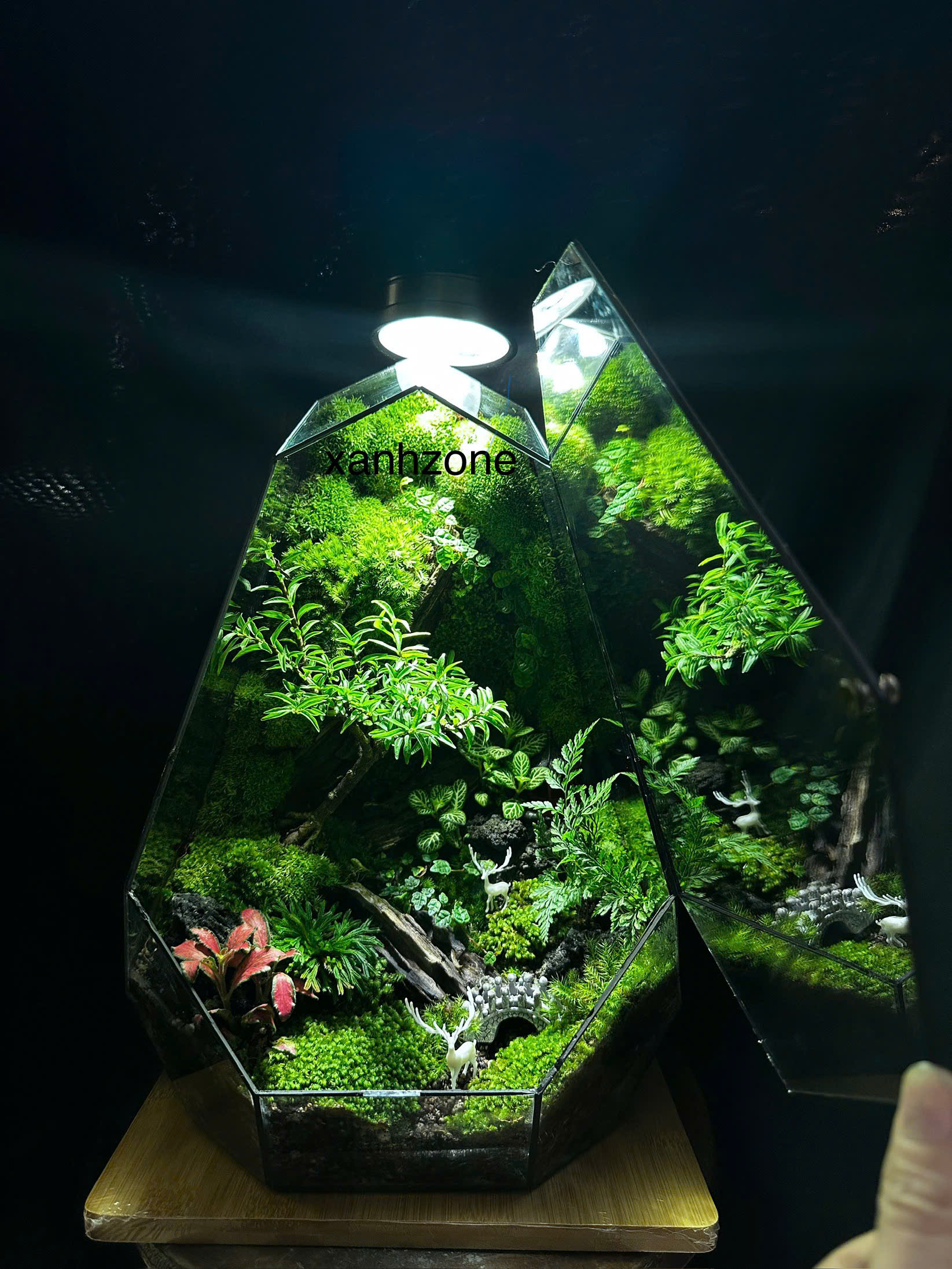 Rừng nai 35cm ( tặng kèm đèn )