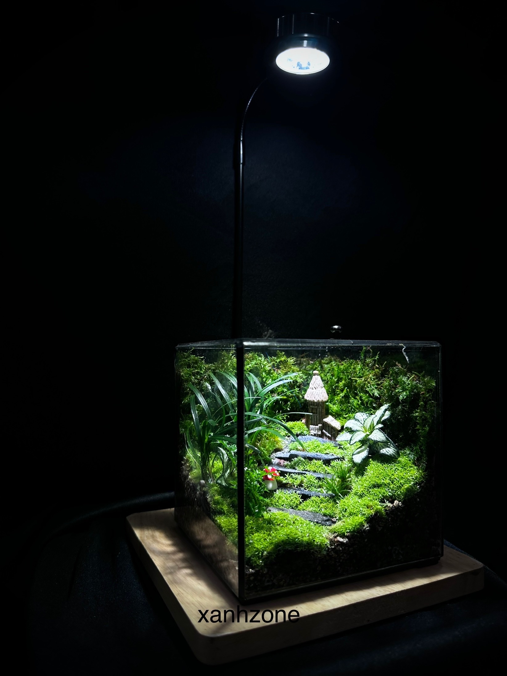 VƯỜN CỔ TÍCH - CUBIC 12