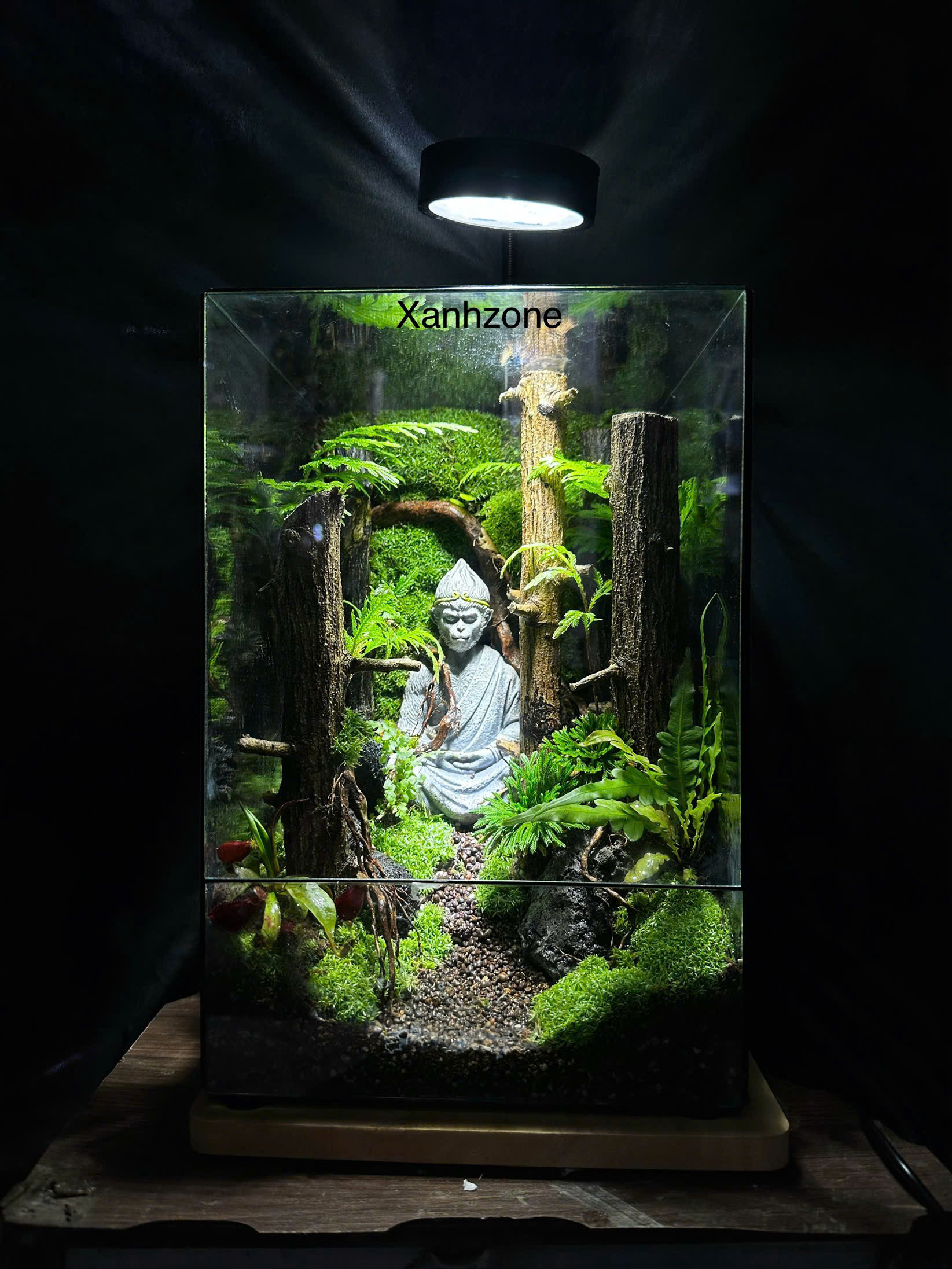 Terrarium - Ngộ Không Thiền ( tặng kèm đèn )