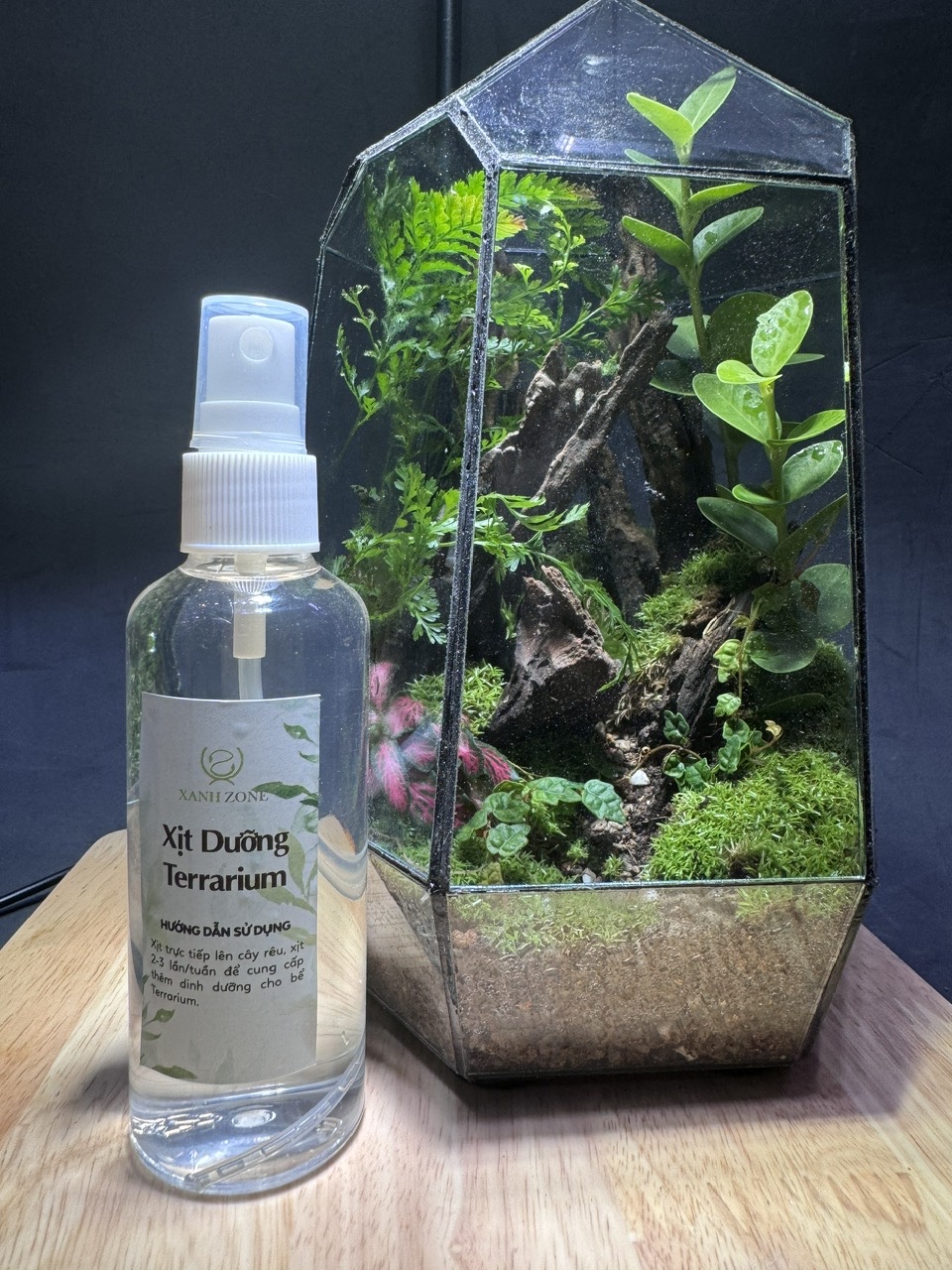 XỊT DƯỠNG TERRARIUM - DƯỠNG CÂY RÊU
