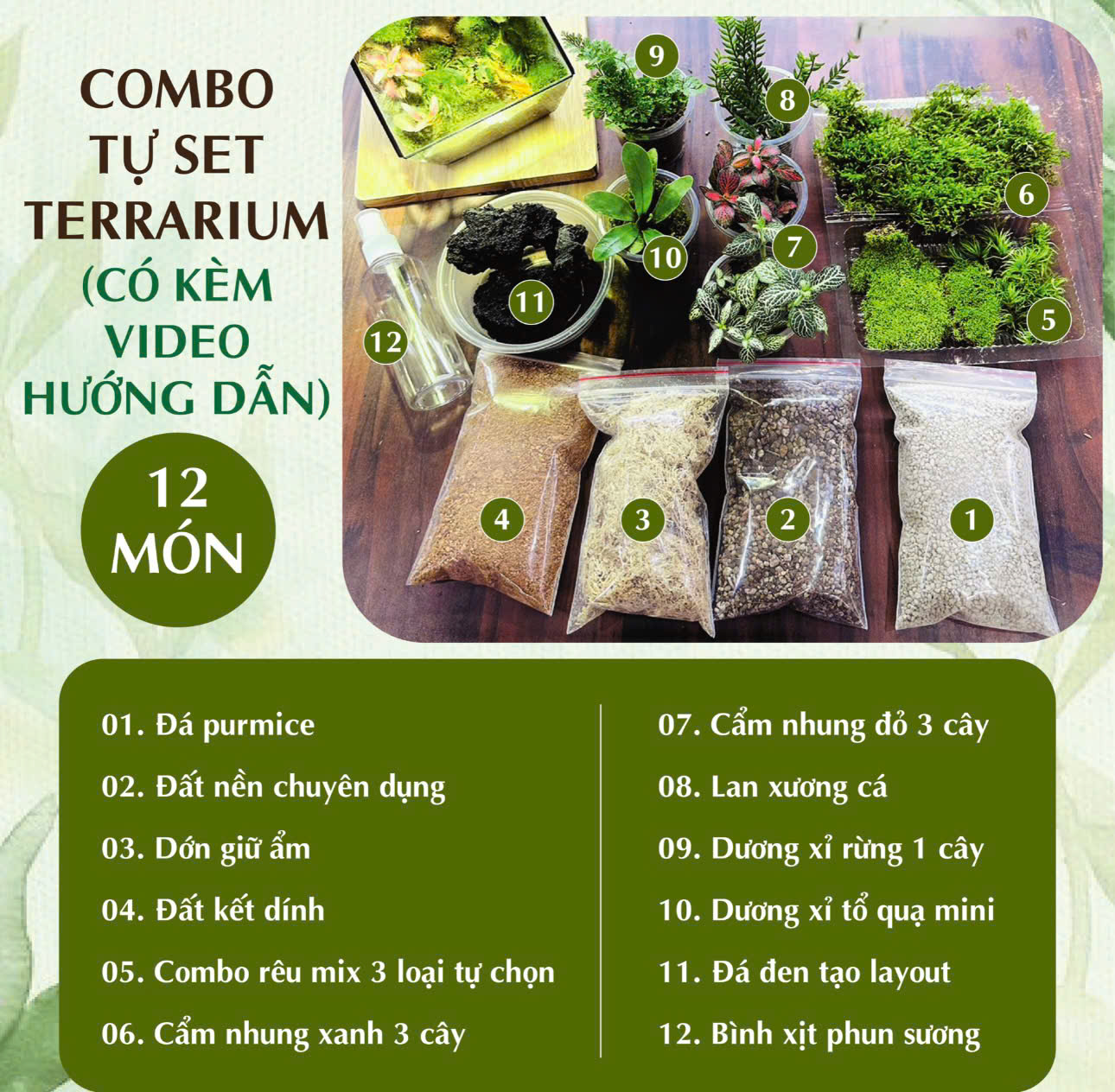 combo 12 món dễ setup