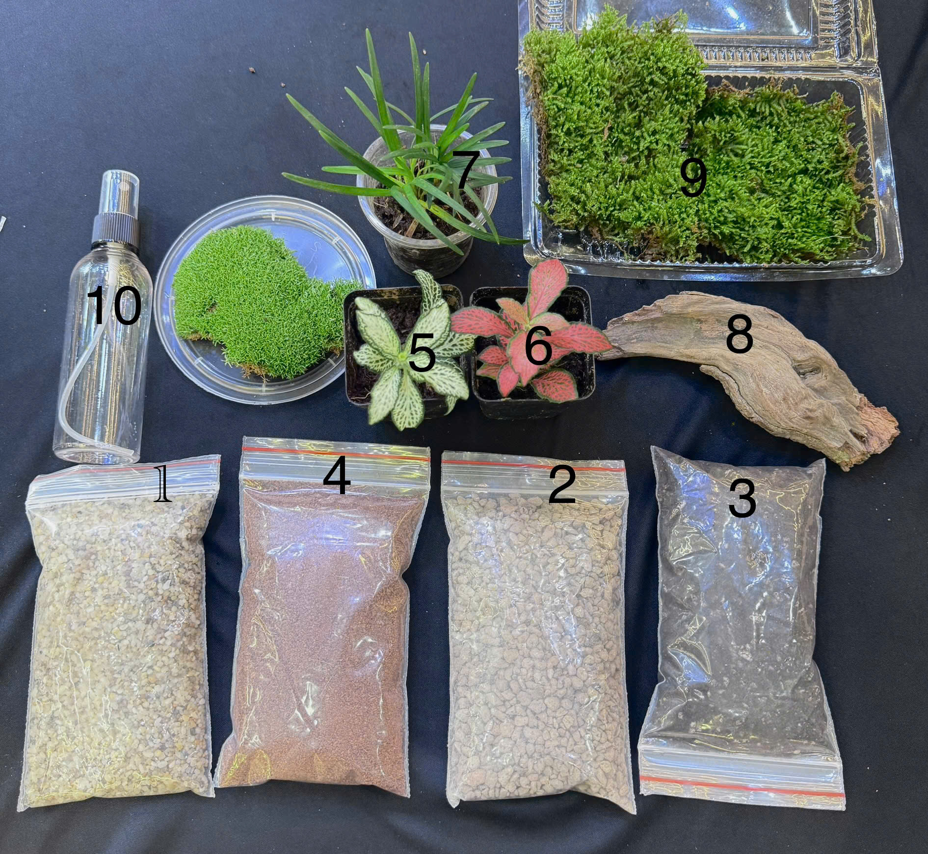 combo tự làm terrarium, combo setup terrarium đơn giản