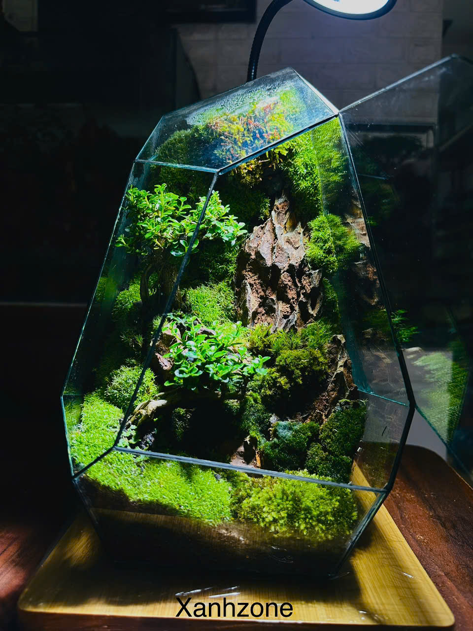 NON BỘ CẢNH ( tặng kèm đèn )