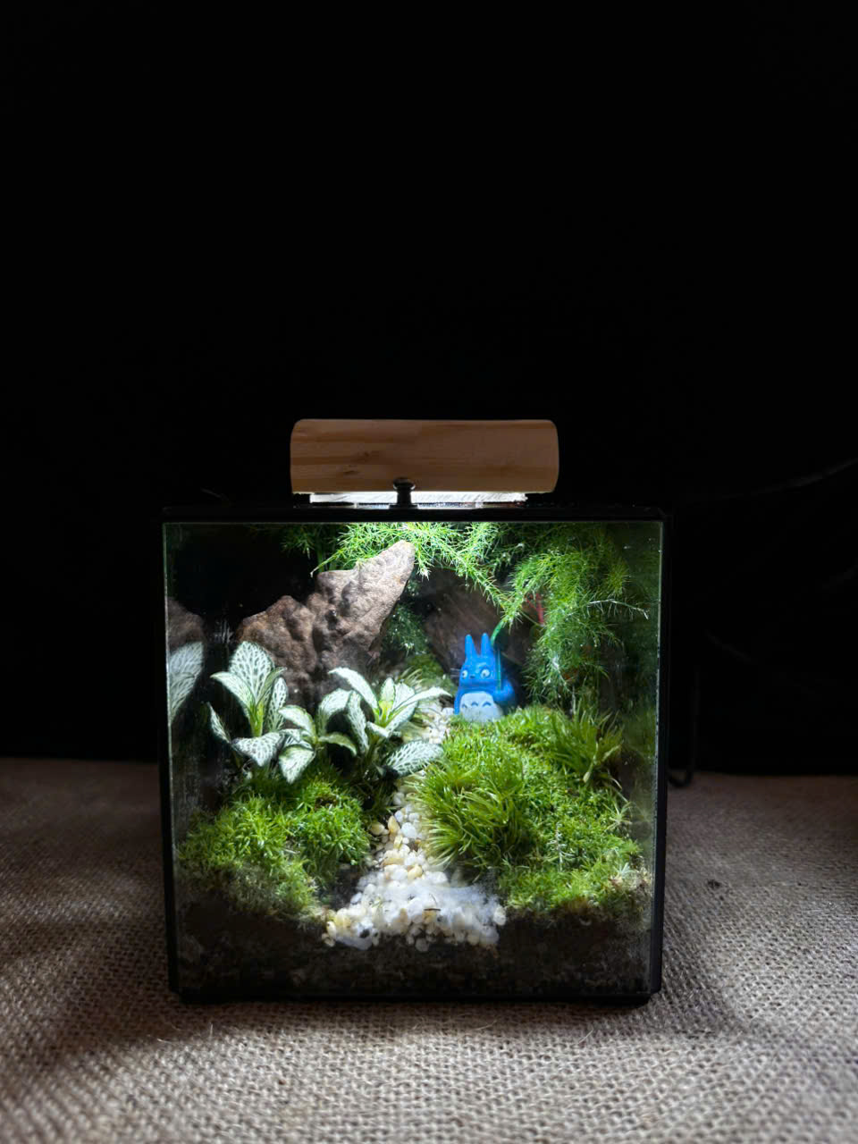 quà tặng xinh - Totoro mơ mộng