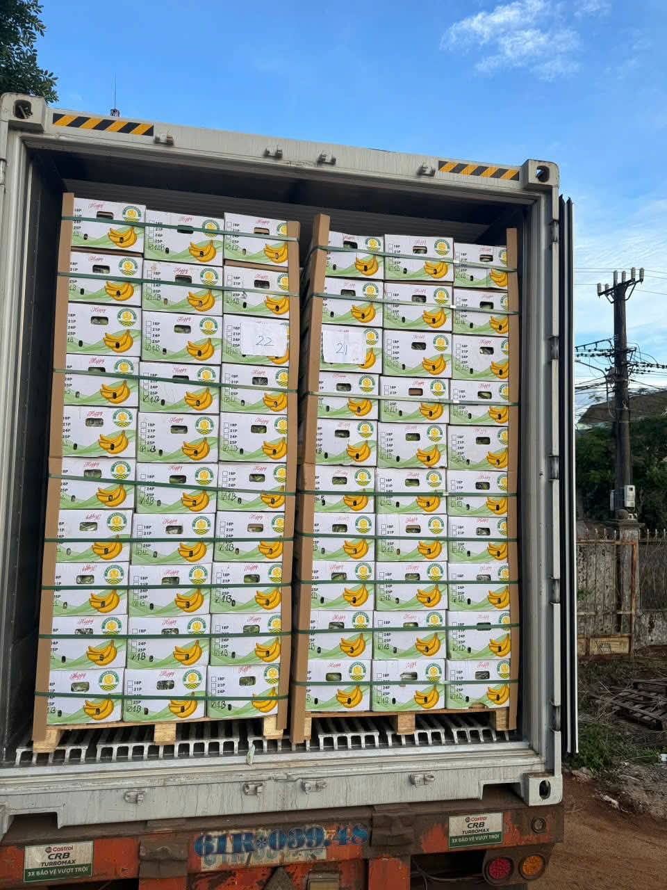 Chuỗi lạnh Reefer Cont