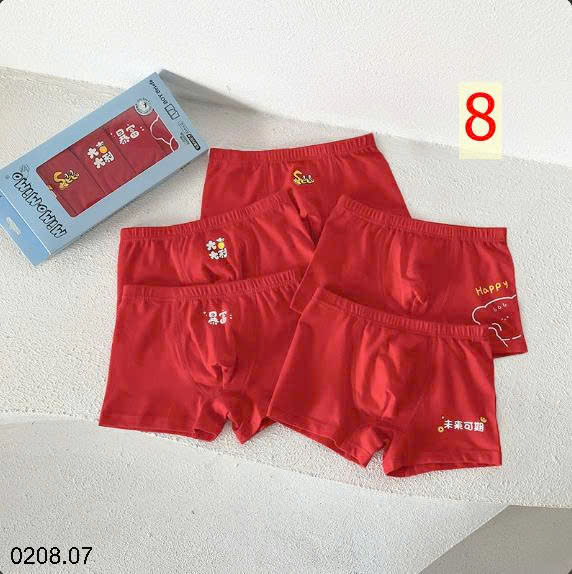 26HA0208.07 - SET HỘP QUẦN CHÍP MOMO BÉ TRAI