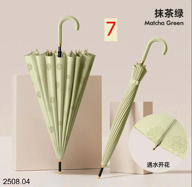 26HA2508.04 - Ô TO 24 NAM CHE MƯA