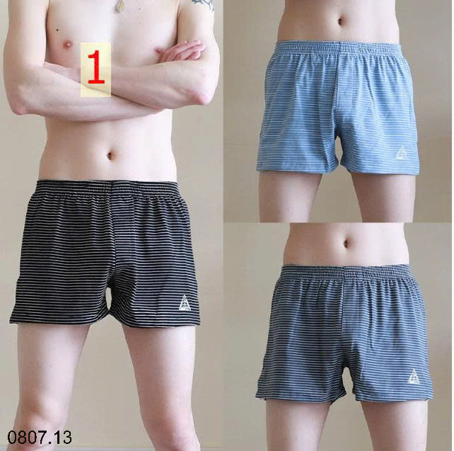 26HA0807.13 - SET 3 QUẦN KẺ SÀ LỎN KẺ NAM