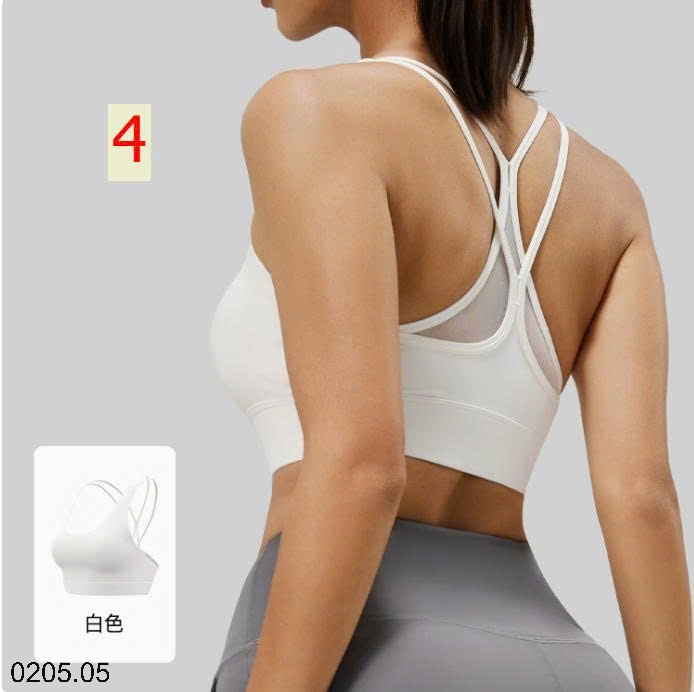26HA0205.05 - BRA TẬP CỦA NHÀ JUYITANG