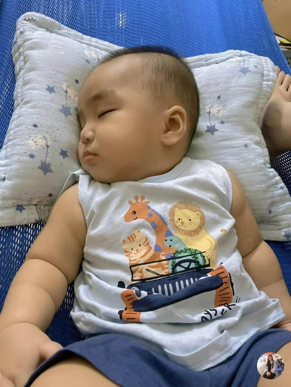 SET 3 BỘ BA LỖ COTTON MỀM MÁT - S11606