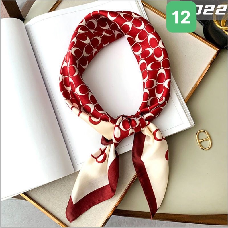 HA2164 - KHĂN LỤA QUÀNG CỔ