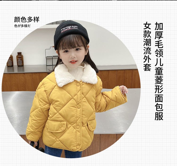 HA2377 - ÁO CỔ LÔNG PHIÊN BẢN HÀN QUỐC