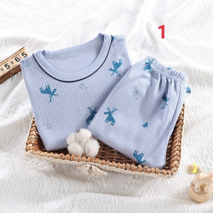 HA1086 - BỘ COTTON THÔNG HƠI THU ĐÔNG