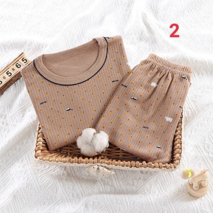 HA1086 - BỘ COTTON THÔNG HƠI THU ĐÔNG