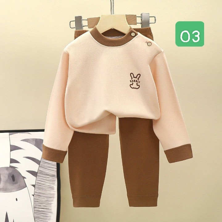 HA2487 - BỘ THU ĐÔNG RABBIT