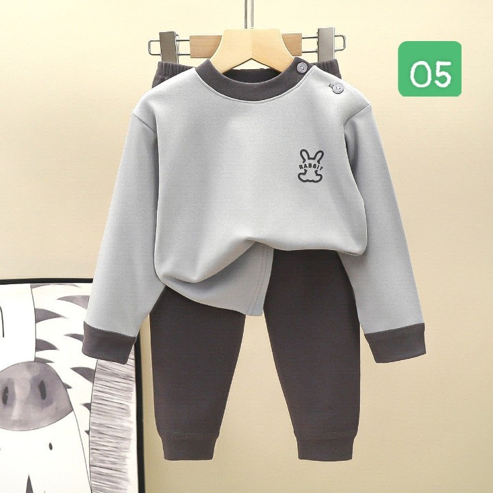 HA2487 - BỘ THU ĐÔNG RABBIT