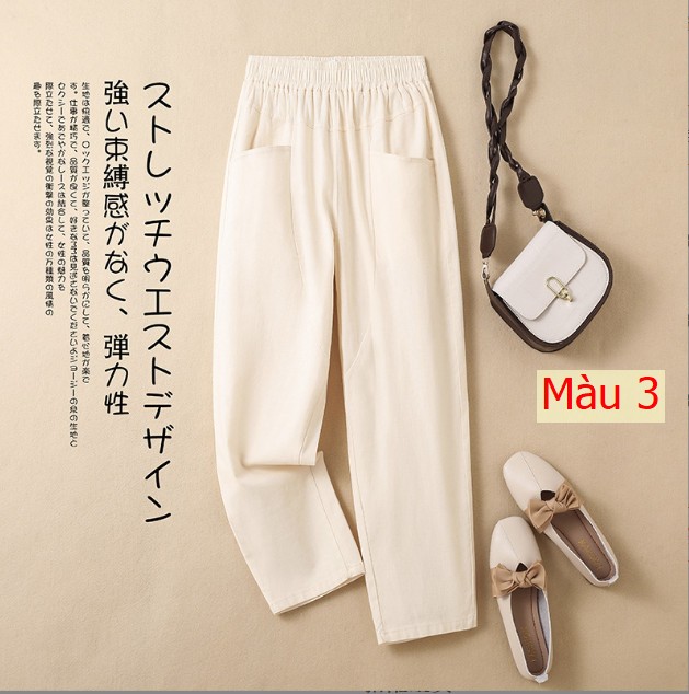 HH2986 - QUẦN BAGGY XUẤT NHẬT