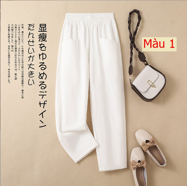 HH2986 - QUẦN BAGGY XUẤT NHẬT