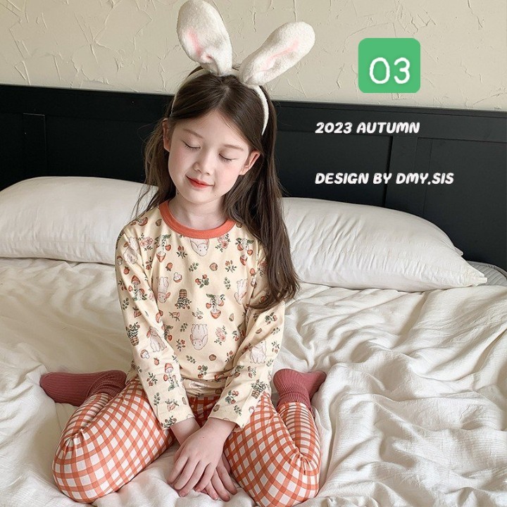 HH3189 - BỘ DÀI TAY XUẤT HÀN DMY.SIS