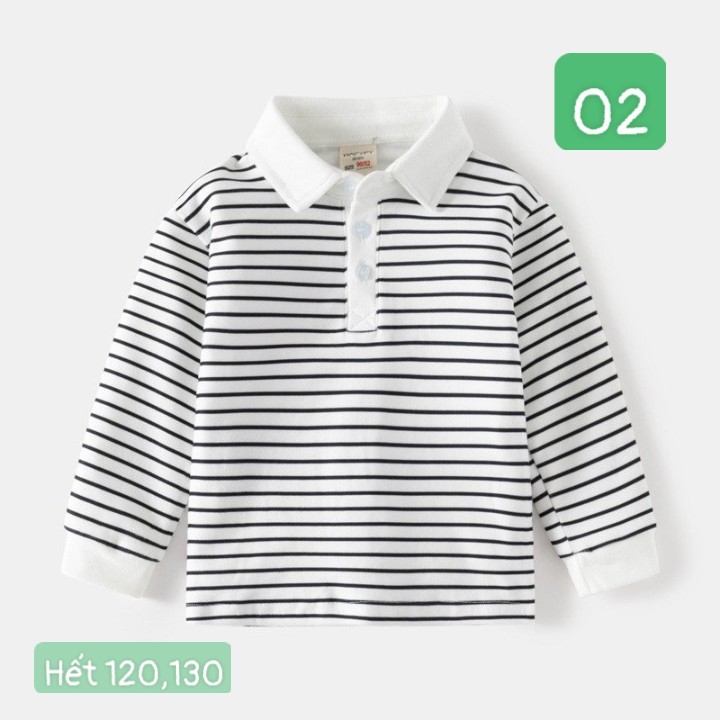 HA792 - ÁO POLO KẺ WAPYPY