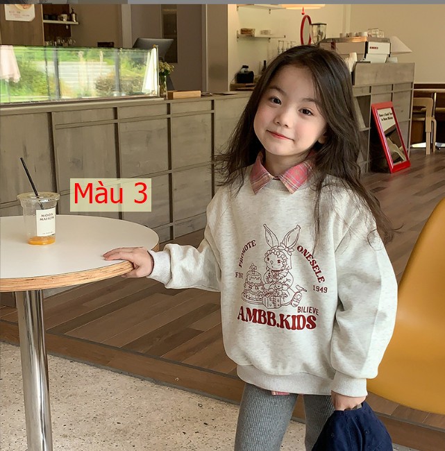 HH1095 - ÁO NỈ BÉ GÁI HÃNG AMBB KIDS
