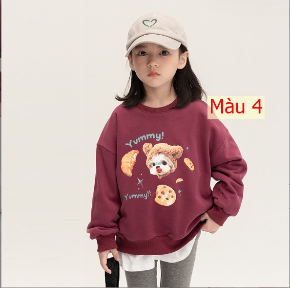 HH10910 - ÁO NỈ BÉ GÁI CHÍNH HÃNG AMBB KIDS