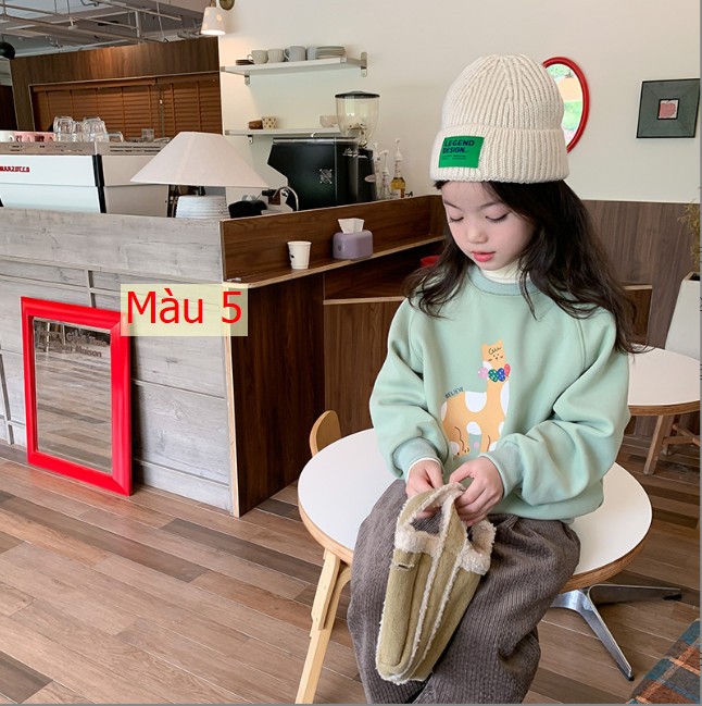 HH1095 - ÁO NỈ BÉ GÁI HÃNG AMBB KIDS