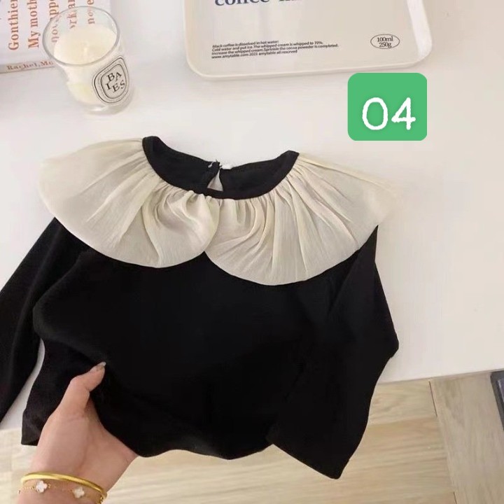 HA3104 - ÁO PHỐI CỔ REN HÀN QUỐC