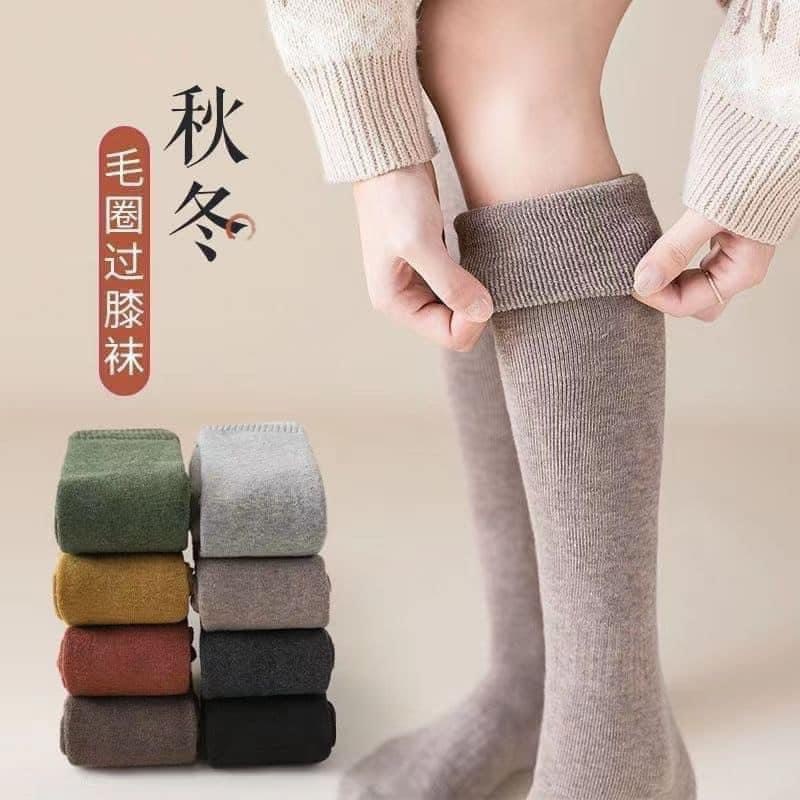 HA5104 - TẤT ĐÙI KOREA