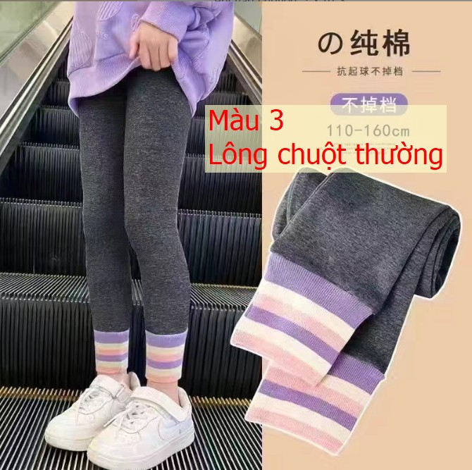 HH7104 - QUẦN LEGING CẦU VỒNG.