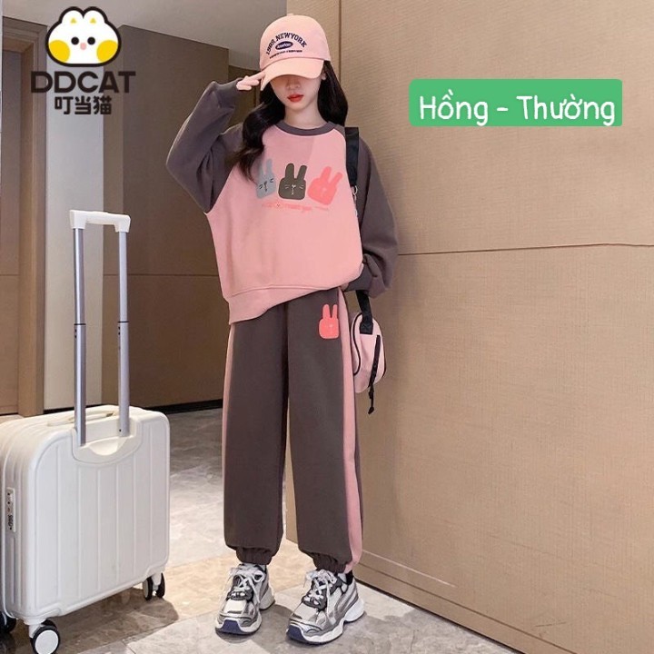 HA13109 - BỘ NỈ DDCAT HÌNH THỎ