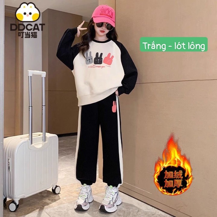 HA13109 - BỘ NỈ DDCAT HÌNH THỎ