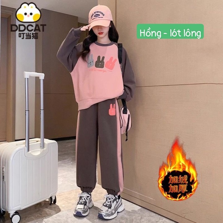 HA13109 - BỘ NỈ DDCAT HÌNH THỎ