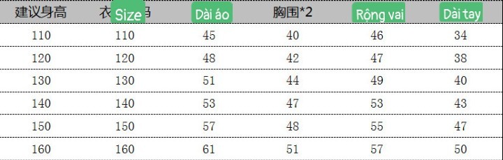 HH26106 - ÁO NỈ HOODIE SIZE ĐẠI
