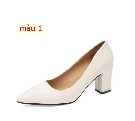 HH29107 - GIÀY CAO GÓT CÔNG SỞ