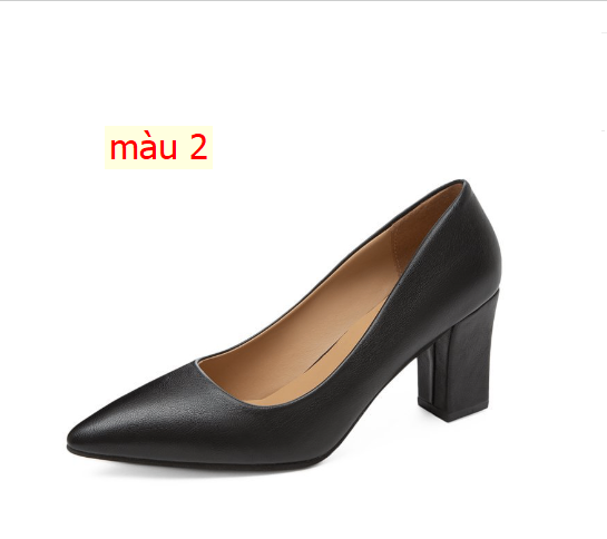 HH29107 - GIÀY CAO GÓT CÔNG SỞ
