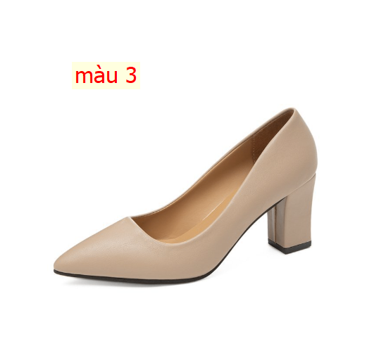 HH29107 - GIÀY CAO GÓT CÔNG SỞ