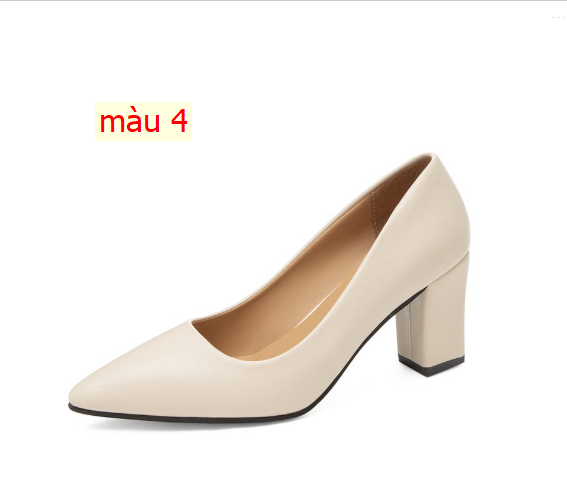 HH29107 - GIÀY CAO GÓT CÔNG SỞ