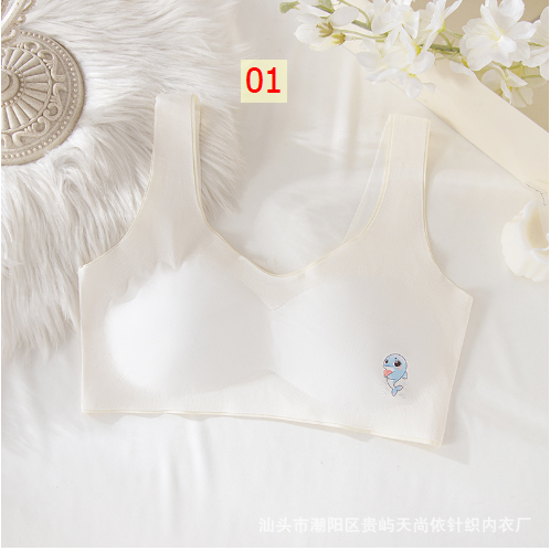 HH10114 - ÁO LÓT KÈM MÚT CHỐNG LỘ CHO BÉ GÁI LỚN