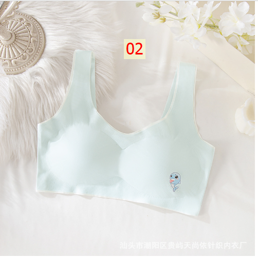 HH10114 - ÁO LÓT KÈM MÚT CHỐNG LỘ CHO BÉ GÁI LỚN